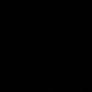 Meet your Posher, Carla